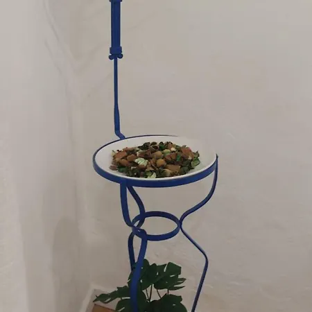 Akonxego&Cia Appartement Mourão Buitenkant foto